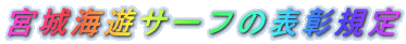 �{��C�V�T�[�t�̕\���K��